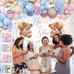 Gender Reveal Balloon Set Manufacturer - Pink Blue He or She Banner Background