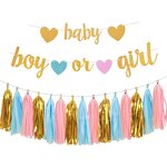 Baby Gender Reveal Party Banners Factory - Wholesale Tissue Tassels Garland Set
