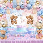Gender Reveal Balloon Set Manufacturer - Pink Blue He or She Banner Background
