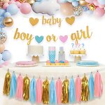 Baby Gender Reveal Party Banners Factory - Wholesale Tissue Tassels Garland Set