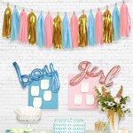 Baby Gender Reveal Party Banners Factory - Wholesale Tissue Tassels Garland Set