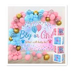Baby Shower Balloon Set Factory - Custom Pink Blue Gender Reveal Wholesale