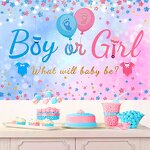 Baby Shower Balloon Set Factory - Custom Pink Blue Gender Reveal Wholesale