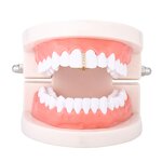 Single Cap Teeth Grillz Manufacturer - 14K 18K Gold Plated for Men Rapper