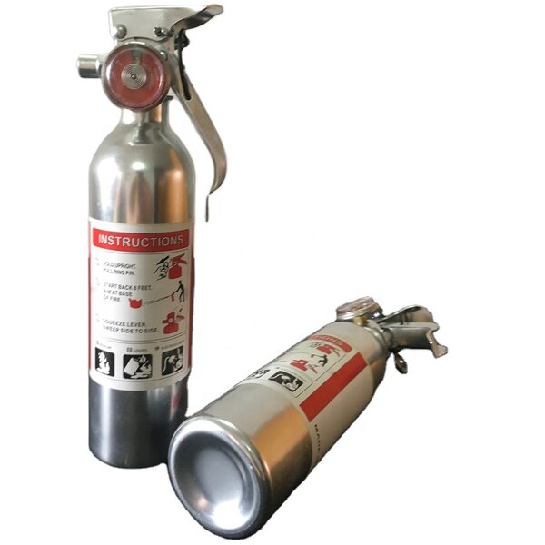 Car Fire Extinguisher Manufacturer - OEM/ODM 0.5kg Foam Chrome