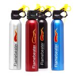 Dry Chemical Fire Extinguisher Manufacturer - OEM/ODM 500g Portable