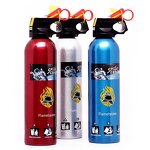 Mini Car Fire Extinguisher Manufacturer - OEM/ODM 500g Dry Powder