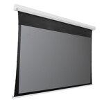 Electric Projection Screen Manufacturer - 120 Inch ALR Ambient Light Rejecting