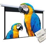 Electric Projection Screen Factory - 100-120 Inch 16:9 Wall Home Theater
