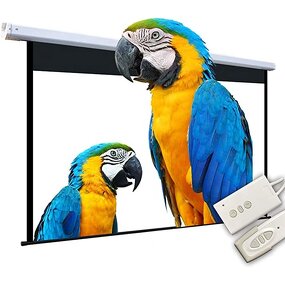 Electric Projection Screen Factory - 100-120 Inch 16:9 Wall Home Theater