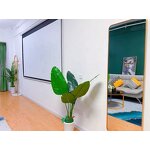 Electric Projection Screen Factory - 100-120 Inch 16:9 Wall Home Theater