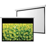 Electric Projection Screen Factory - Hot Selling 100 Inch Motor Remote Control