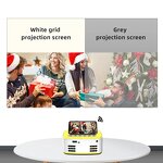 Projector Screen Manufacturer - Anti Light Reflective Roll up Curtain