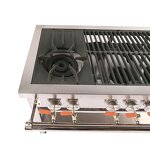 Gas Range Cooker Manufacturer - OEM/ODM 6 Burner Stainless Steel