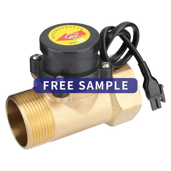 Water Flow Switch Manufacturer - High Power Booster Pump Brass 1 Inch