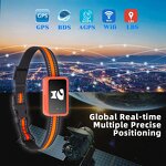 Smart Pet Tracker Manufacturer - OEM/ODM 4G IOS Android Real-time