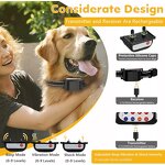 Wireless Dog Fence Manufacturer - OEM/ODM Portable LCD Screen