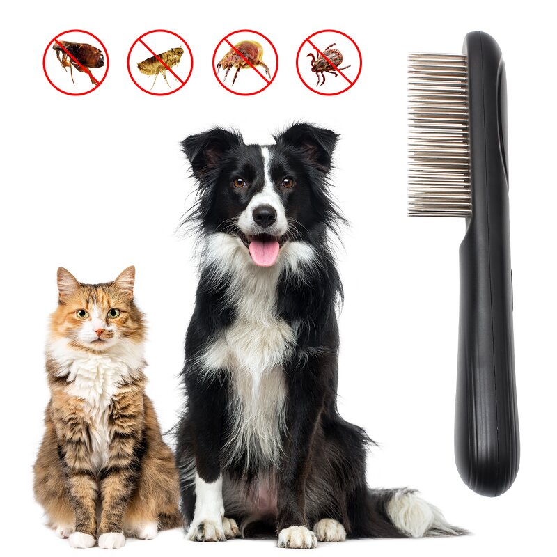 Pet Grooming Tool Manufacturer - OEM/ODM Electric Dog Brush
