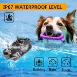 Dog Training Collar Manufacturer - OEM/ODM Adjustable Anti Bark