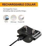 Dog Anti Bark Collar Manufacturer - OEM/ODM Vibration Static Shock