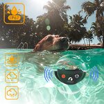 Dog Training Collar Manufacturer - OEM/ODM No Shock Buzzer Remote