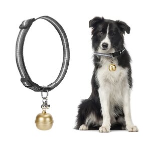 Pet GPS Tracker Manufacturer - OEM/ODM Wireless Fence 2 in 1