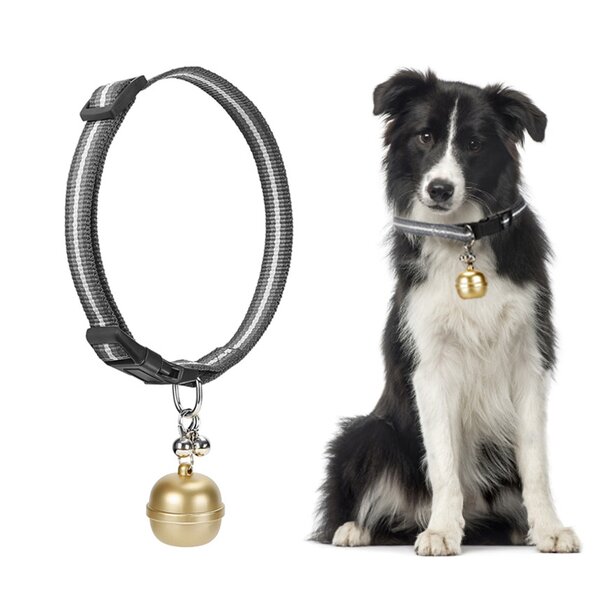 Pet GPS Tracker Manufacturer - OEM/ODM Wireless Fence 2 in 1