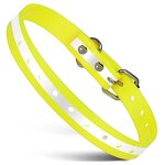 Pet Training Accessories Manufacturer - OEM/ODM Dog Leash Collar