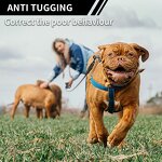 Dog Training Collar Manufacturer - OEM/ODM 3300FT Anti Bark