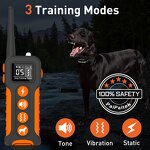 Dog Training Collar Manufacturer - OEM/ODM Waterproof Anti Bark