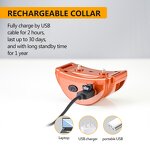 Dog Bark Stop Collar Manufacturer - OEM/ODM Waterproof Small Dog