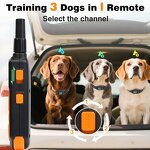 Dog Training Collar Manufacturer - OEM/ODM Automatic Bark Mode