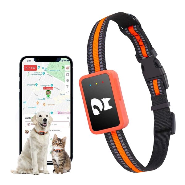 GPS Pet Tracker Manufacturer - OEM/ODM 4G LTE Real-Time Tracking