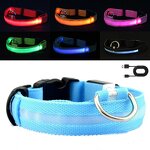 LED Pet Collar Manufacturer - OEM/ODM Night Safety Glow Light
