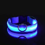 LED Pet Collar Manufacturer - OEM/ODM Night Safety Glow Light