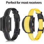 Dog Training Collar Manufacturer - OEM/ODM METAL Shock Replacement