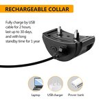 Dog Anti Bark Collar Manufacturer - OEM/ODM Rechargeable Large Dogs