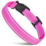 Pet Training Accessories Manufacturer - OEM/ODM Dog Leash Collar