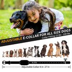 Dog Shock Collar Manufacturer - OEM/ODM 4 Training Modes AI