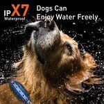 Dog Training Collar Manufacturer - OEM/ODM 1100yd Range Waterproof