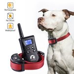 Dog Training Collar Manufacturer - OEM/ODM No Shock Buzzer Remote