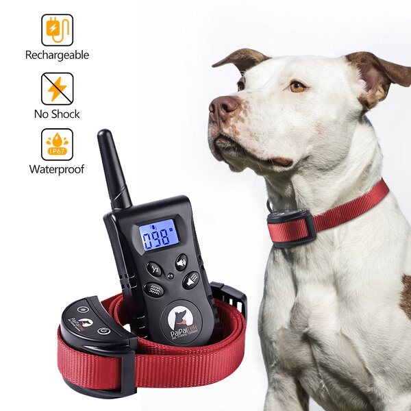 Dog Training Collar Manufacturer - OEM/ODM No Shock Buzzer Remote