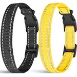 Dog Training Collar Manufacturer - OEM/ODM METAL Shock Replacement