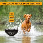 Dog Bark Stop Collar Manufacturer - OEM/ODM Vibrate No Static Shock