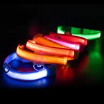 LED Pet Collar Manufacturer - OEM/ODM Night Safety Glow Light