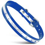 Pet Training Accessories Manufacturer - OEM/ODM Dog Leash Collar