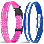 Pet Collar Manufacturer - OEM/ODM Custom Nylon Plastic Buckle