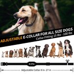 Dog Shock Collar Manufacturer - OEM/ODM Smart Training Leash