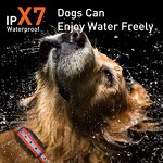 Dog Shock Collar Manufacturer - OEM/ODM 5-120lbs Waterproof USB