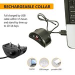 Dog Bark Stop Collar Manufacturer - OEM/ODM Static Shock Rechargeable